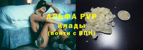 крисы Абаза
