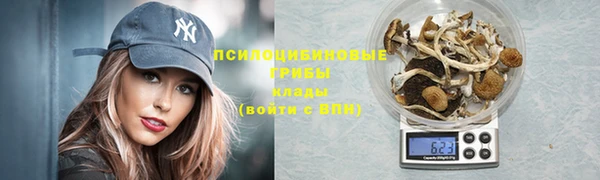 крисы Абаза
