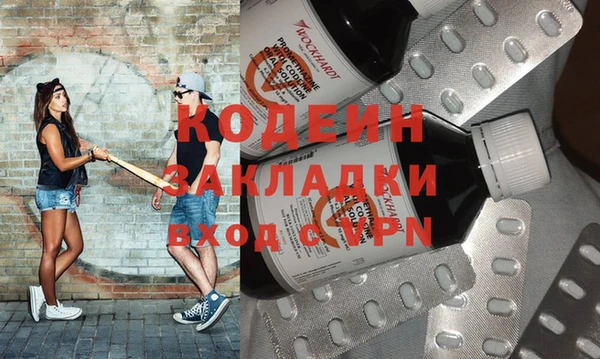 крисы Абаза