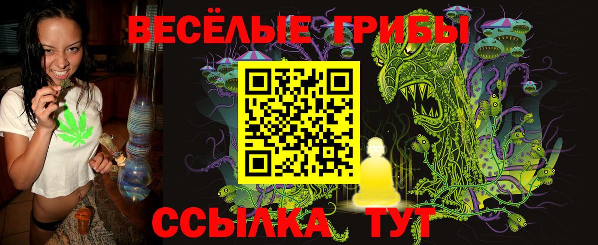 Знаменск  Псилоцибиновые грибы Psilocybe  Вход с VPN 